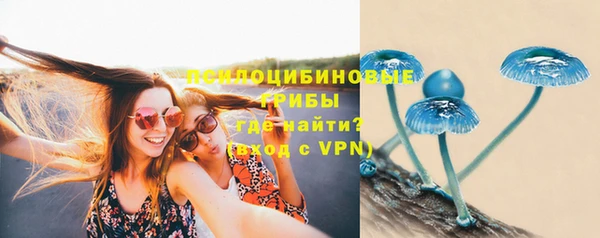 гашик Лиски