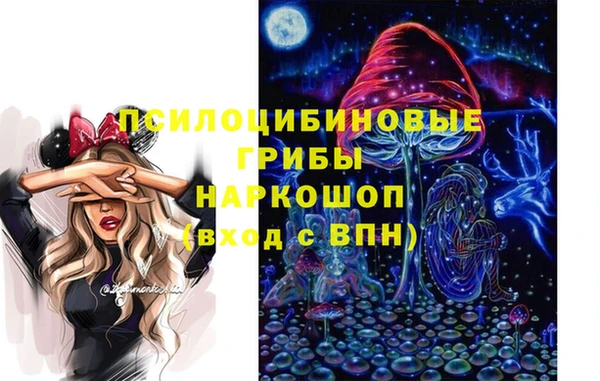 гашик Лиски