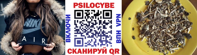 купить наркотик  Невель  Псилоцибиновые грибы MAGIC MUSHROOMS 