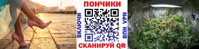 даркнет состав Невель Каннабис планчик